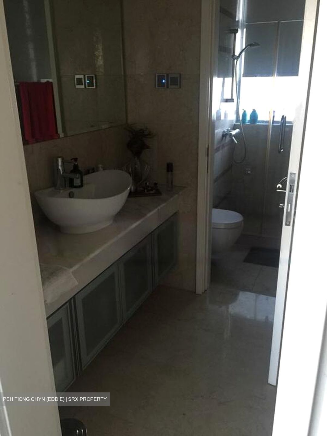 Balmoral Hills (D10), Condominium #621139571